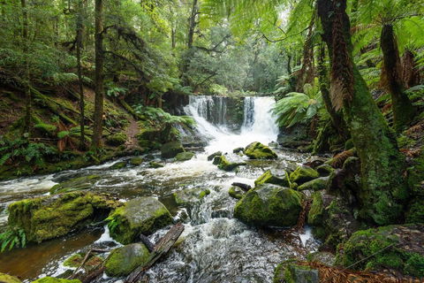 Post House Cottage - Hervey Bay Accommodation 22
