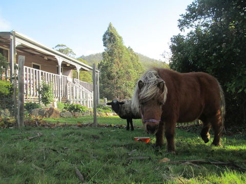 Post House Cottage - Hervey Bay Accommodation 3