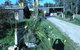 Eureka Farm - thumb 16