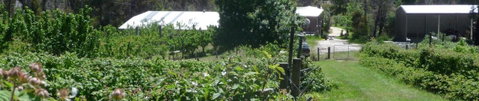 Eureka Farm - Hervey Bay Accommodation 25