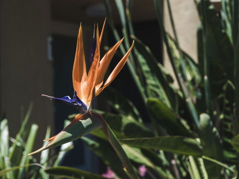 Russell House - Hervey Bay Accommodation 2