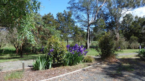 Karoola Cottage Self Contained - Tourism Hervey Bay 19