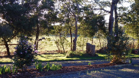 Karoola Cottage Self Contained - Tourism Hervey Bay 25