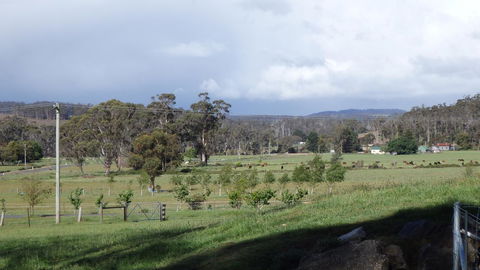 Karoola Cottage Self Contained - Tourism Hervey Bay 11