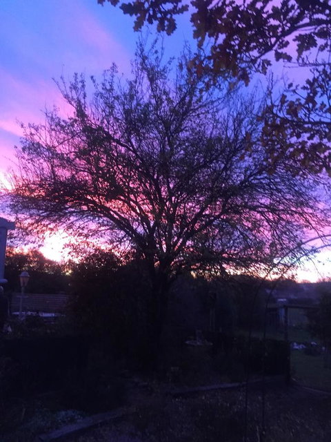 White Croft Cottage - Hervey Bay Accommodation 2