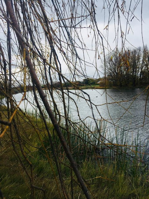 White Croft Cottage - Hervey Bay Accommodation 6