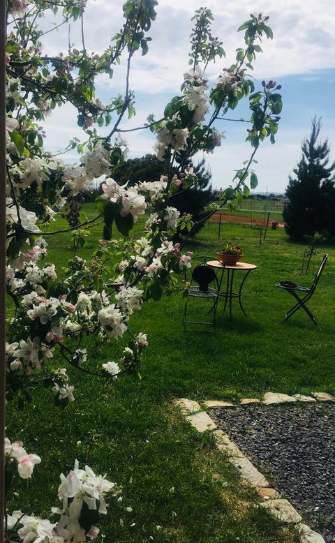 White Croft Cottage - Hervey Bay Accommodation 4