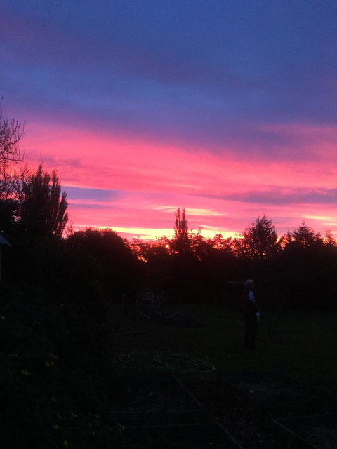 White Croft Cottage - Hervey Bay Accommodation 1