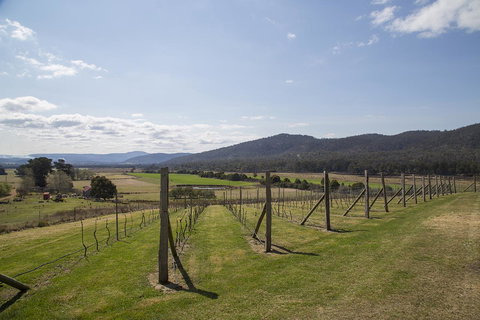 Twamley Farm - Hervey Bay Accommodation 7