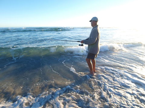 Seymour Waves - Hervey Bay Accommodation 22