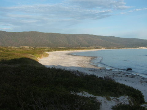 Seymour Waves - Hervey Bay Accommodation 20
