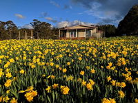 Book Golden Valley Accommodation Vacations Hervey Bay Accommodation Hervey Bay Accommodation