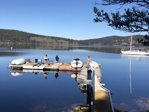 Free Spirit Pods - Hervey Bay Accommodation 3