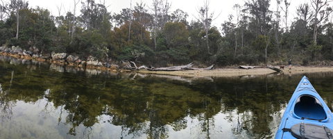 Free Spirit Pods - Hervey Bay Accommodation 18