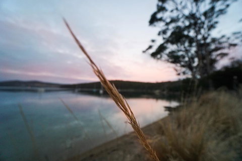 Free Spirit Pods - Hervey Bay Accommodation 8