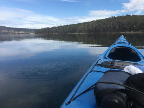 Free Spirit Pods - Hervey Bay Accommodation 20