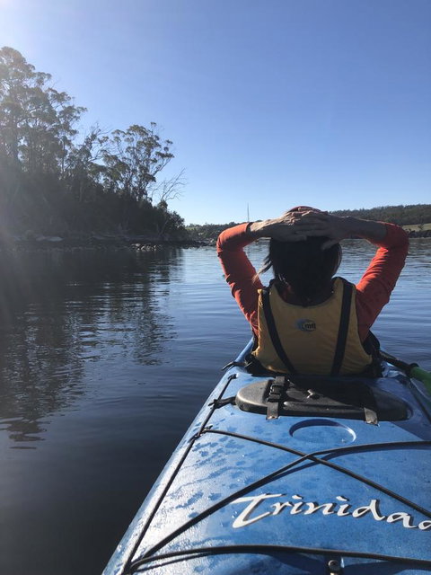 Free Spirit Pods - Hervey Bay Accommodation 1