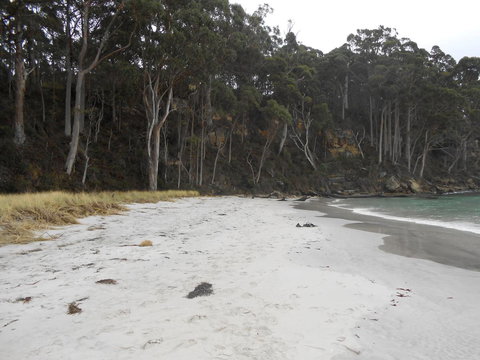 Bruny Ocean Cottage - Tourism Hervey Bay 12