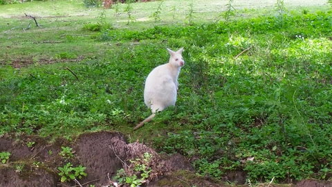 Bruny Ocean Cottage - Tourism Hervey Bay 9
