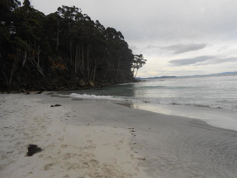 Bruny Ocean Cottage - Tourism Hervey Bay 17