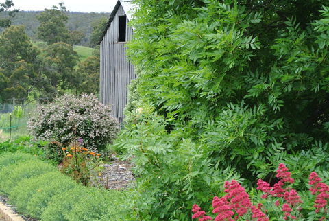 Hamlet Downs Country Accommodation - Hervey Bay Accommodation 19