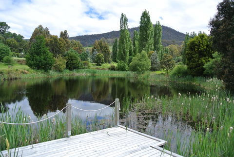 Hamlet Downs Country Accommodation - Hervey Bay Accommodation 12