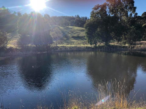 Hamlet Downs Country Accommodation - Hervey Bay Accommodation 8