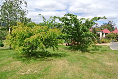 Hamlet Downs Country Accommodation - Hervey Bay Accommodation 21