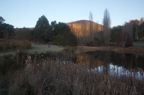 Hamlet Downs Country Accommodation - Hervey Bay Accommodation 25