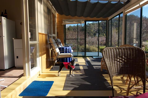 Hamlet Downs Country Accommodation - Hervey Bay Accommodation 33