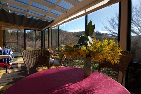 Hamlet Downs Country Accommodation - Hervey Bay Accommodation 41