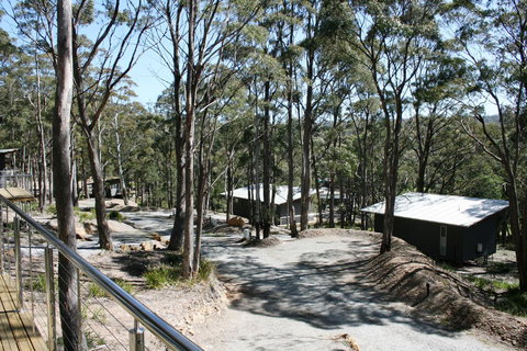 Craggy Peaks Wilderness Cabins - Hervey Bay Accommodation 22