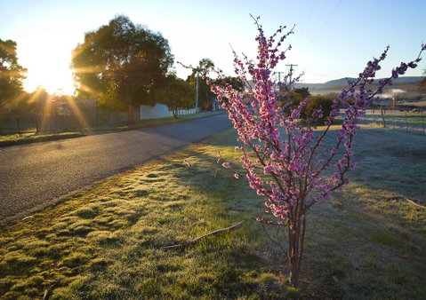 The Storekeeper\'s - Hervey Bay Accommodation 14