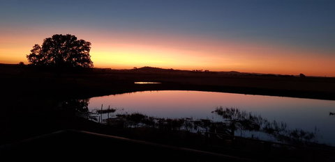 New Horizons Farm Stay - Hervey Bay Accommodation 1