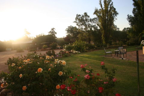 Newell Motor Inn Narrandera - Hervey Bay Accommodation 3