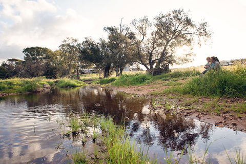 Northbrook Farmstay - Tourism Hervey Bay 0