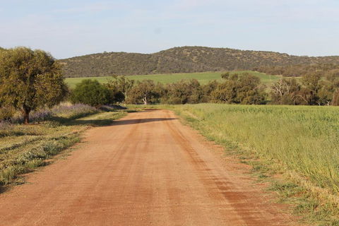 Northbrook Farmstay - Tourism Hervey Bay 2