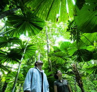 NRMA Cairns Holiday Park - Hervey Bay Accommodation