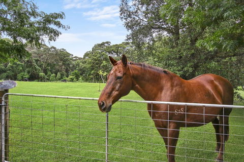 NUNGAROO COTTAGE - Hervey Bay Accommodation 3