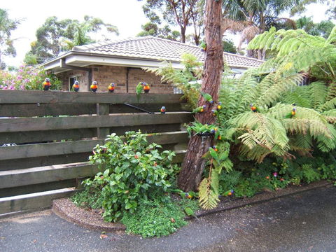 Ocean Drive Apartments - Tourism Hervey Bay 3