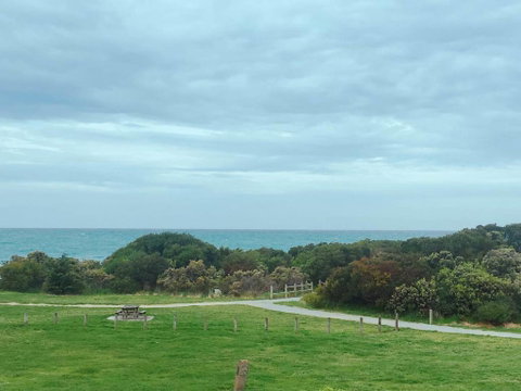 ODYSSEY APOLLO BAY - Tourism Hervey Bay 2