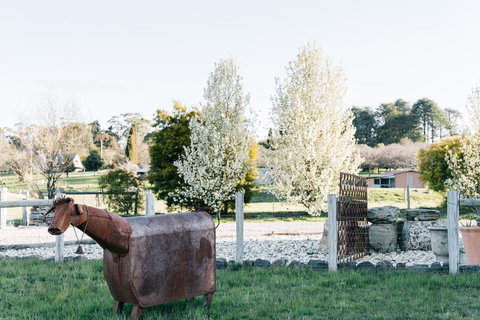 Omaroo - Hervey Bay Accommodation 2