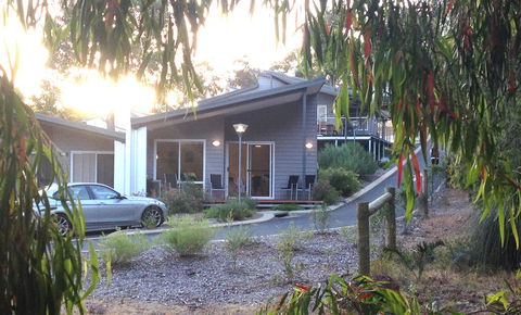 On The Edge Of The Forest - Tourism Hervey Bay 0
