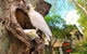 Original Backpackers - thumb 2