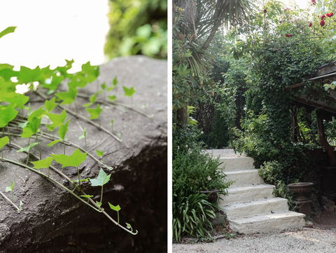 Oscar's Garden - Tourism Hervey Bay 1