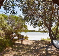 Oystercatcher - On the banks of the lagoon - Tourism Hervey Bay