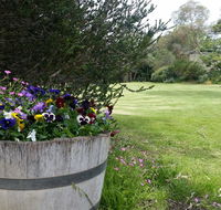 Padthaway Caravan Park - Tourism Hervey Bay