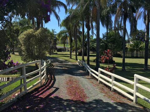 Palms Oasis Motel - Hervey Bay Accommodation 3