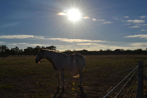 Penny's Place In The Pyrenees - Tourism Hervey Bay 1