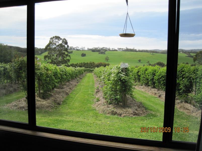 Barwon Downs ACT Hervey Bay Accommodation